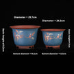 Champagne T030 Size Two