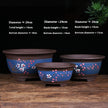 T006 A Set Of Three