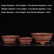 Z Bonsai Set Of Three