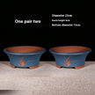 23cm 23cm Blue Bonsai Pair